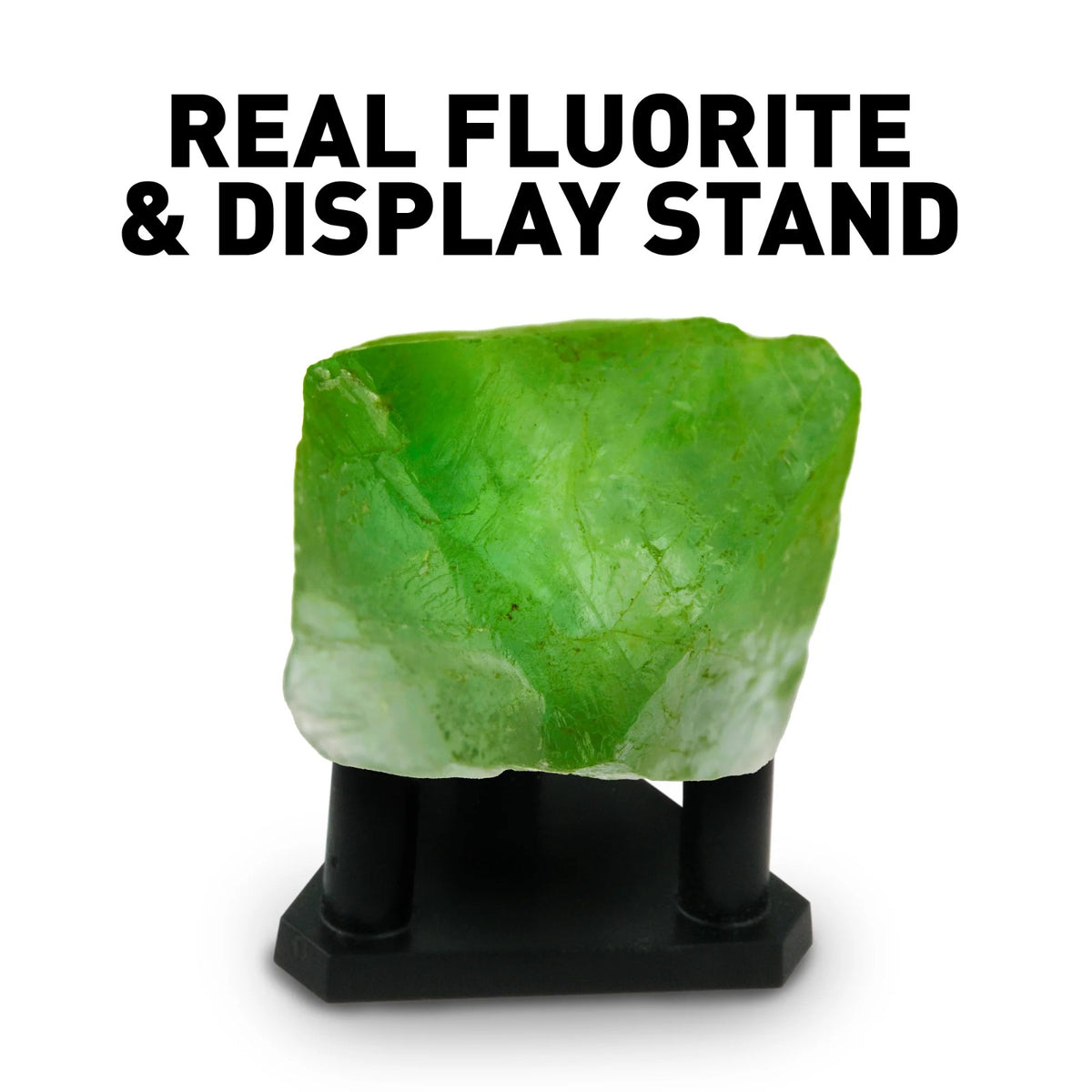 National Geographic Glow-in-the-Dark Crystal Lab Kit - Pupsik Singapore
