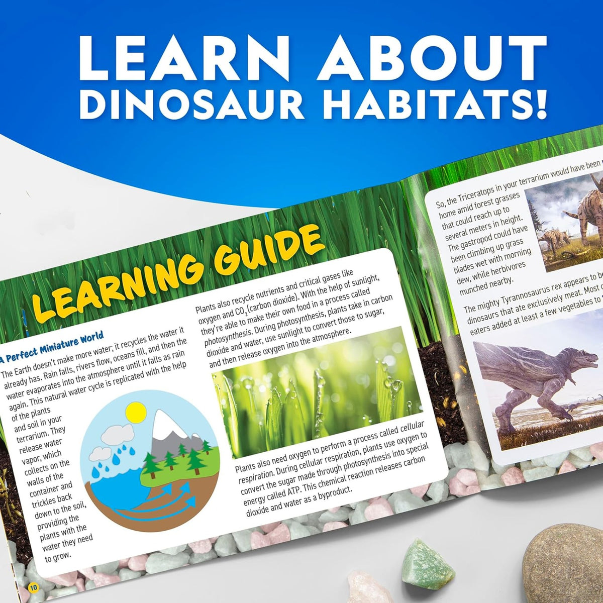 National Geographic Light-Up Dinosaur Sand Terrarium Kit - Pupsik Singapore