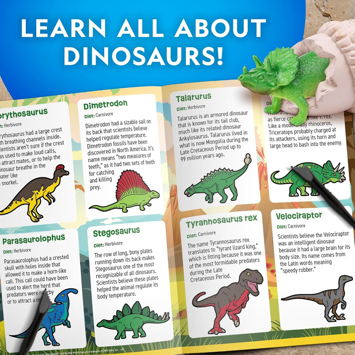 National Geographic 12 Dinosaur Egg Dig Kit - Pupsik Singapore