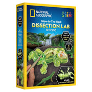 National Geographic Glow-in-the-Dark Gecko Dissection Lab - Pupsik Singapore