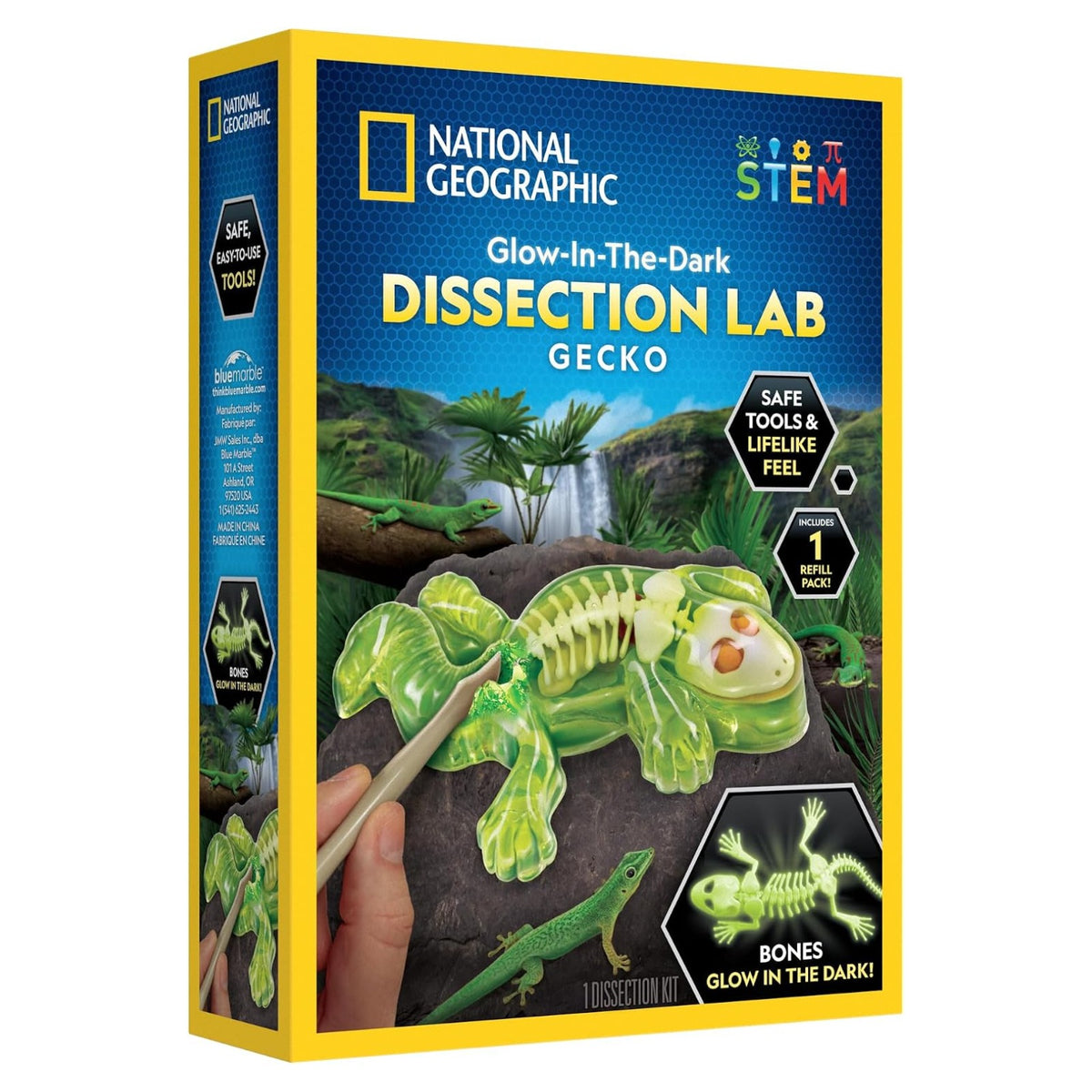 National Geographic Glow-in-the-Dark Gecko Dissection Lab - Pupsik Singapore