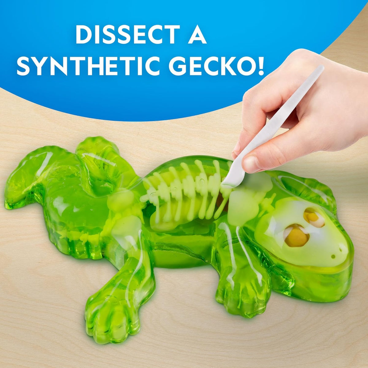 National Geographic Glow-in-the-Dark Gecko Dissection Lab - Pupsik Singapore