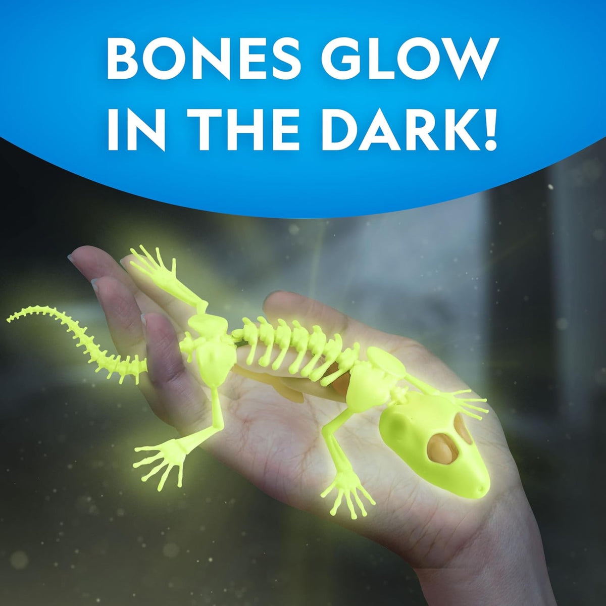National Geographic Glow-in-the-Dark Gecko Dissection Lab - Pupsik Singapore
