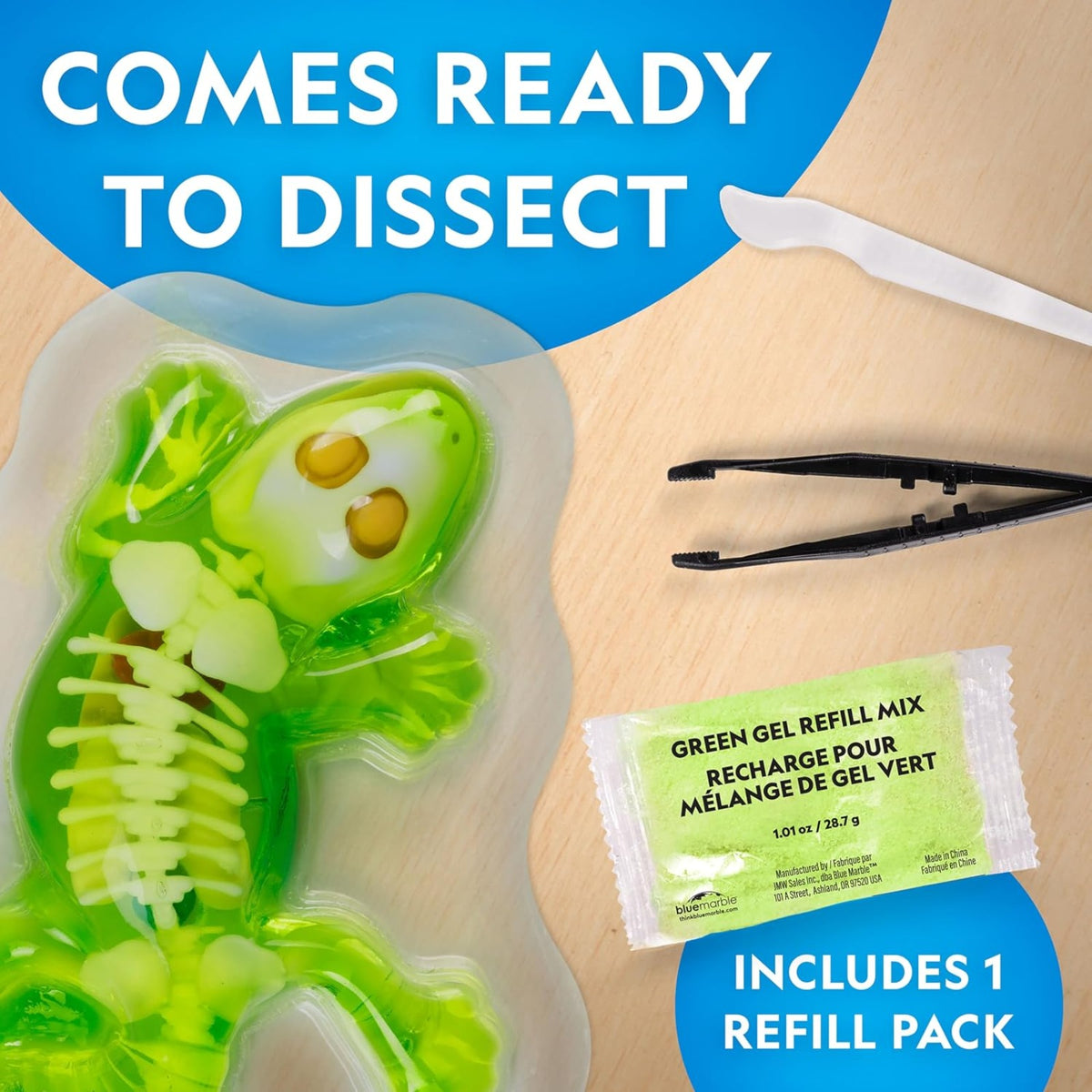 National Geographic Glow-in-the-Dark Gecko Dissection Lab - Pupsik Singapore