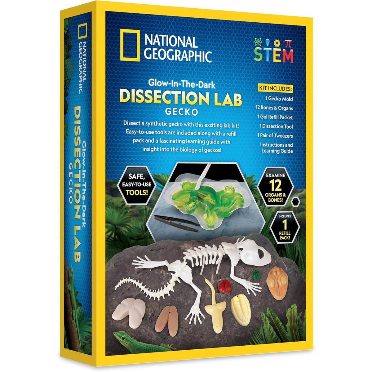 National Geographic Glow-in-the-Dark Gecko Dissection Lab - Pupsik Singapore