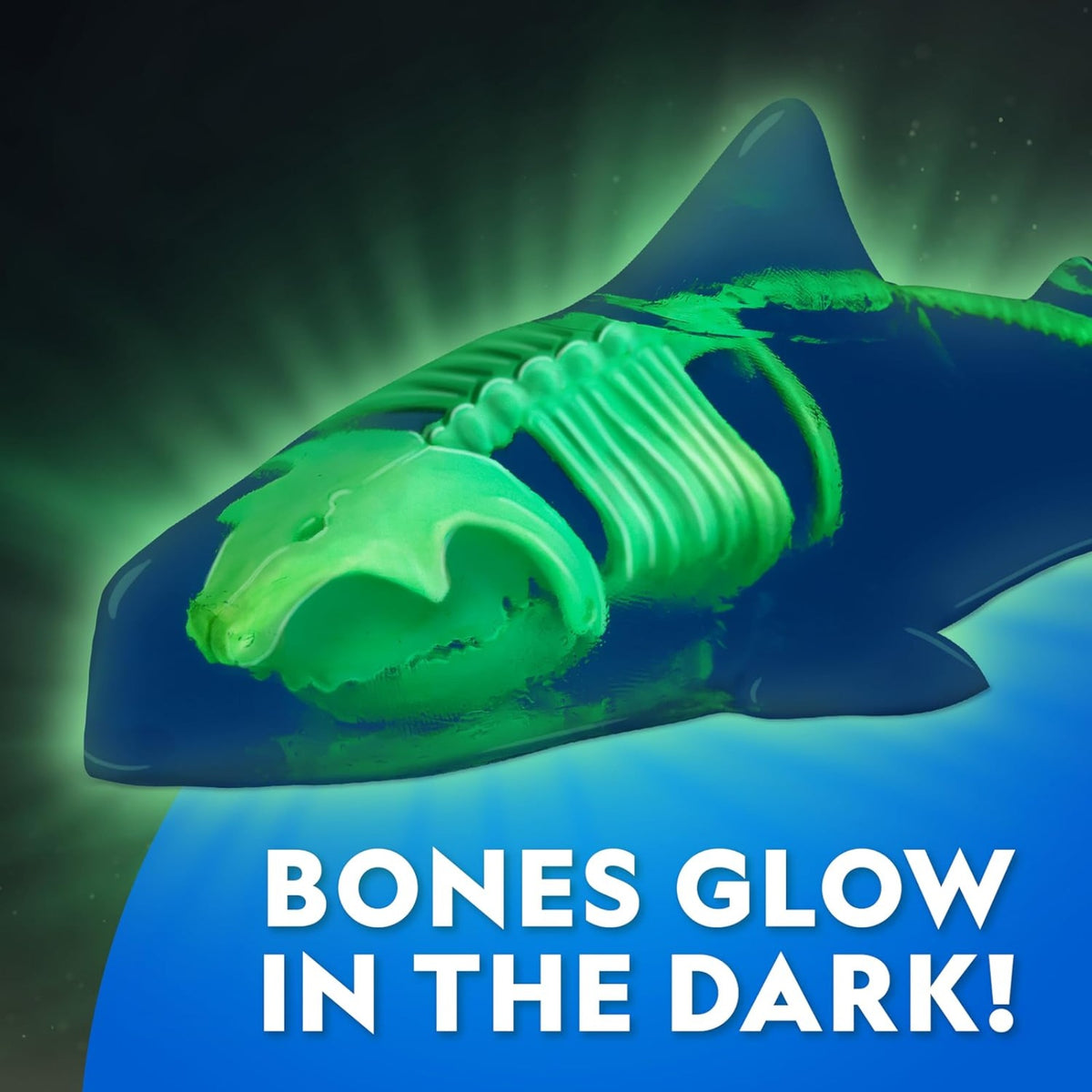 National Geographic Glow-in-the-Dark Great White Shark Dissection Lab - Pupsik Singapore