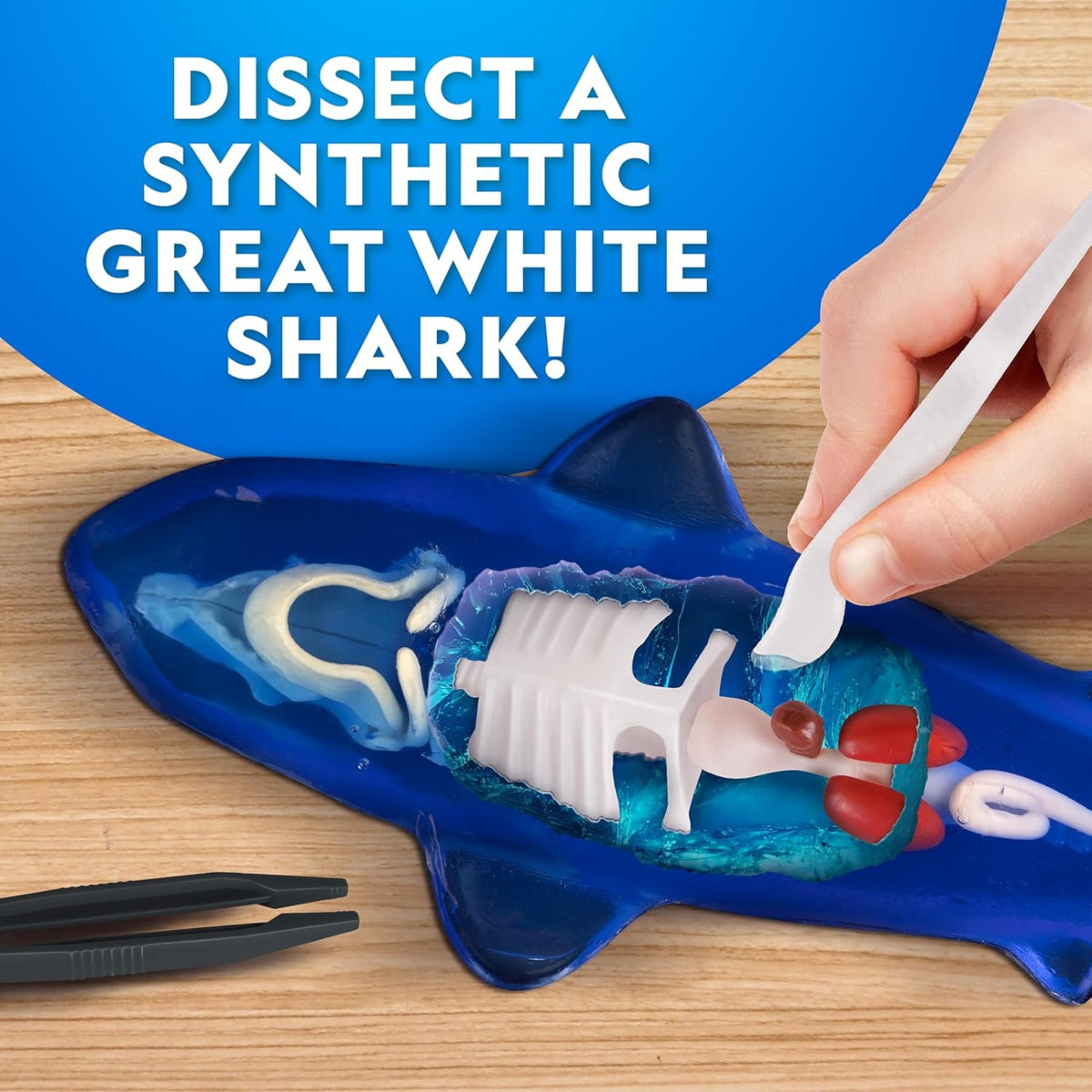 National Geographic Glow-in-the-Dark Great White Shark Dissection Lab - Pupsik Singapore