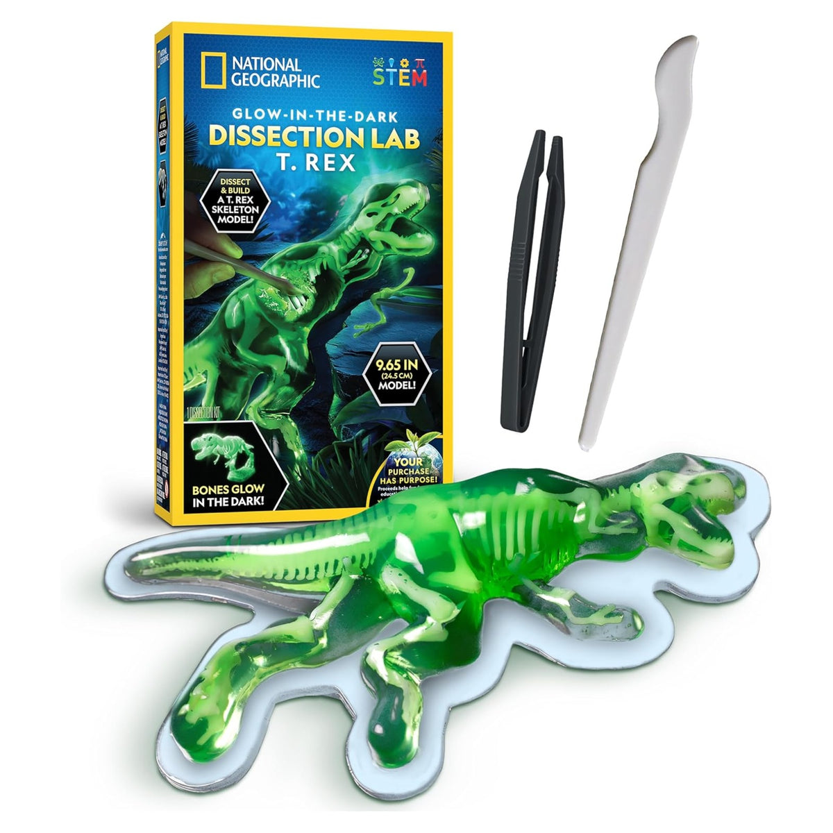 National Geographic Glow-in-the-Dark T-Rex Dissection Kit - Pupsik Singapore