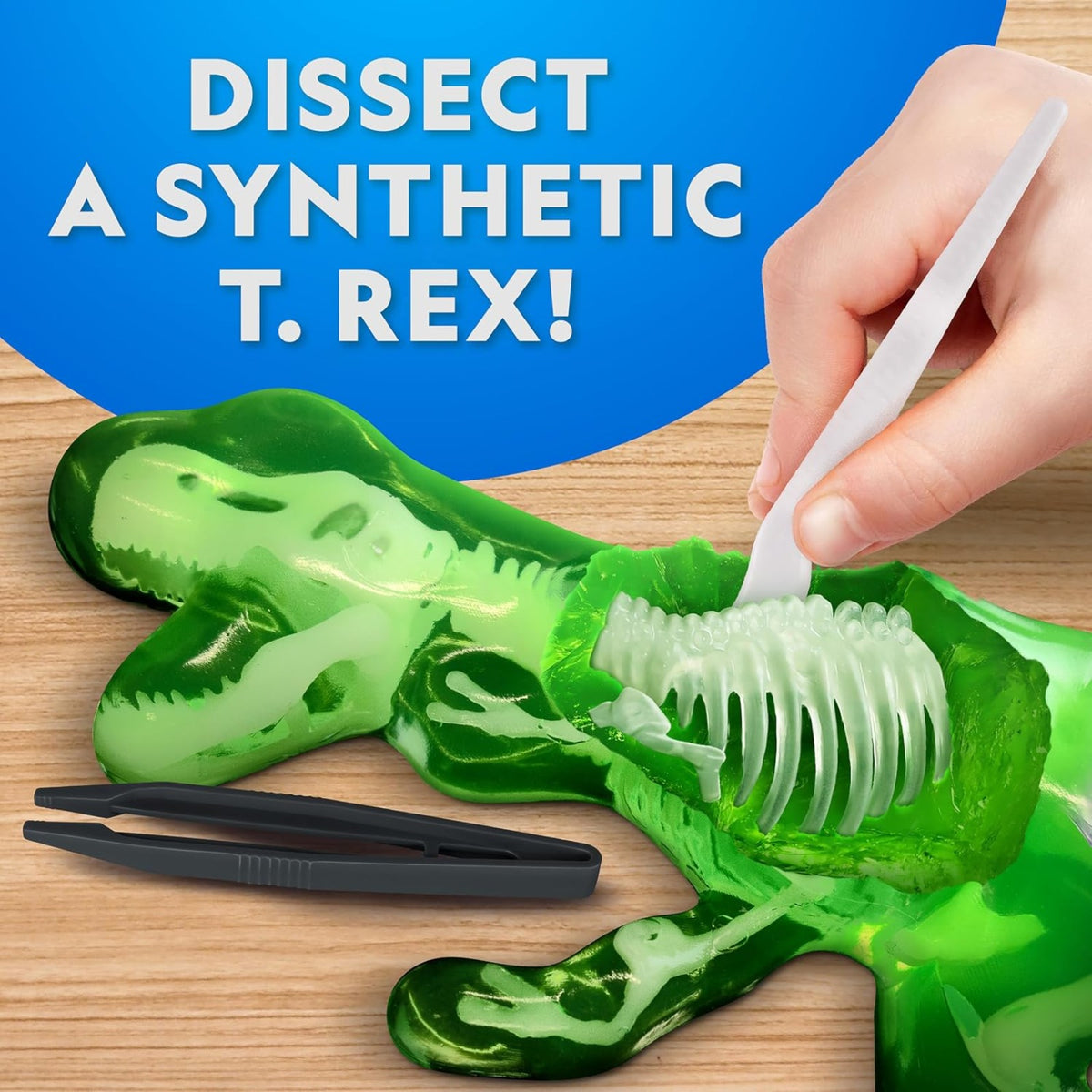National Geographic Glow-in-the-Dark T-Rex Dissection Kit - Pupsik Singapore