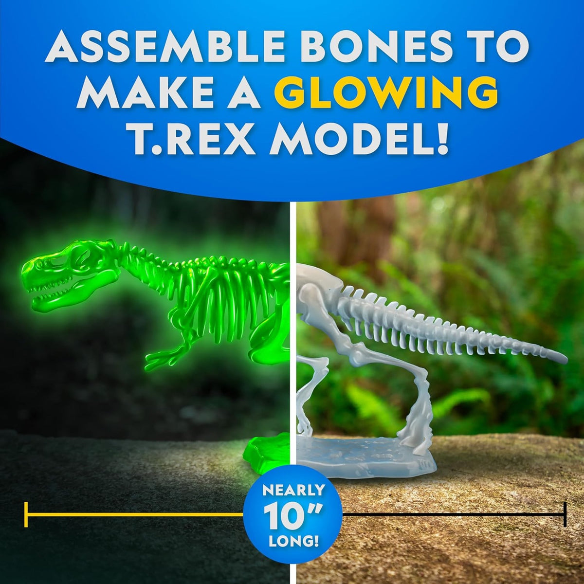 National Geographic Glow-in-the-Dark T-Rex Dissection Kit - Pupsik Singapore