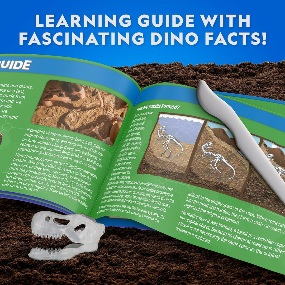 National Geographic Glow-in-the-Dark T-Rex Dissection Kit - Pupsik Singapore