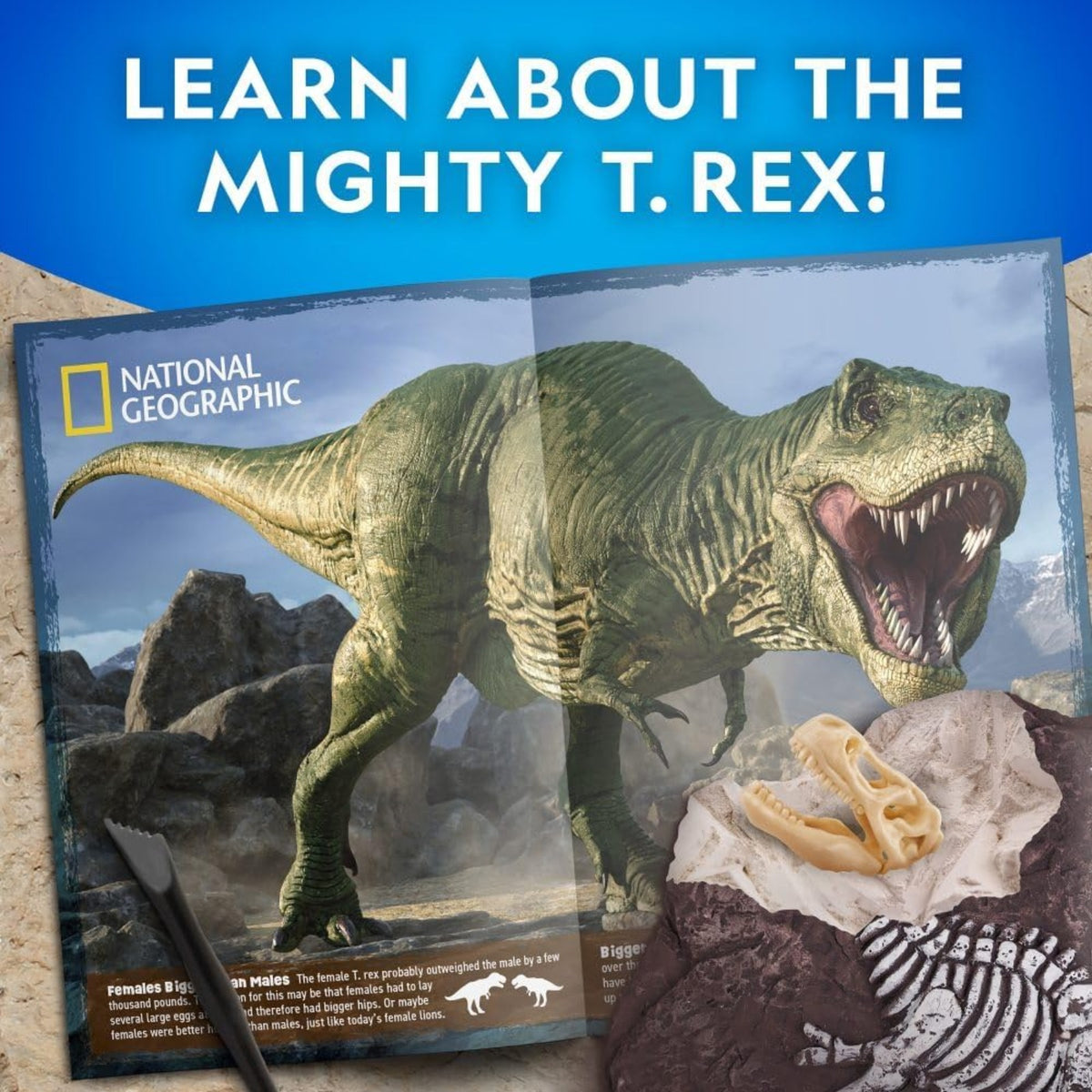 National Geographic Tyrannosaurus Rex Dig Kit - Pupsik Singapore