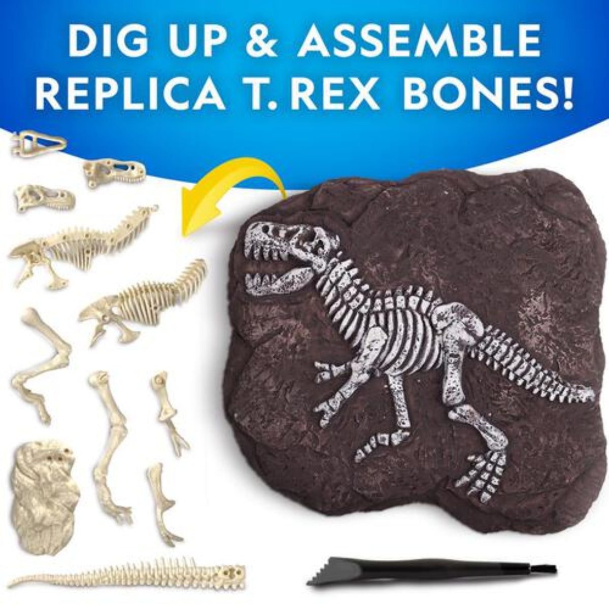 National Geographic Tyrannosaurus Rex Dig Kit - Pupsik Singapore