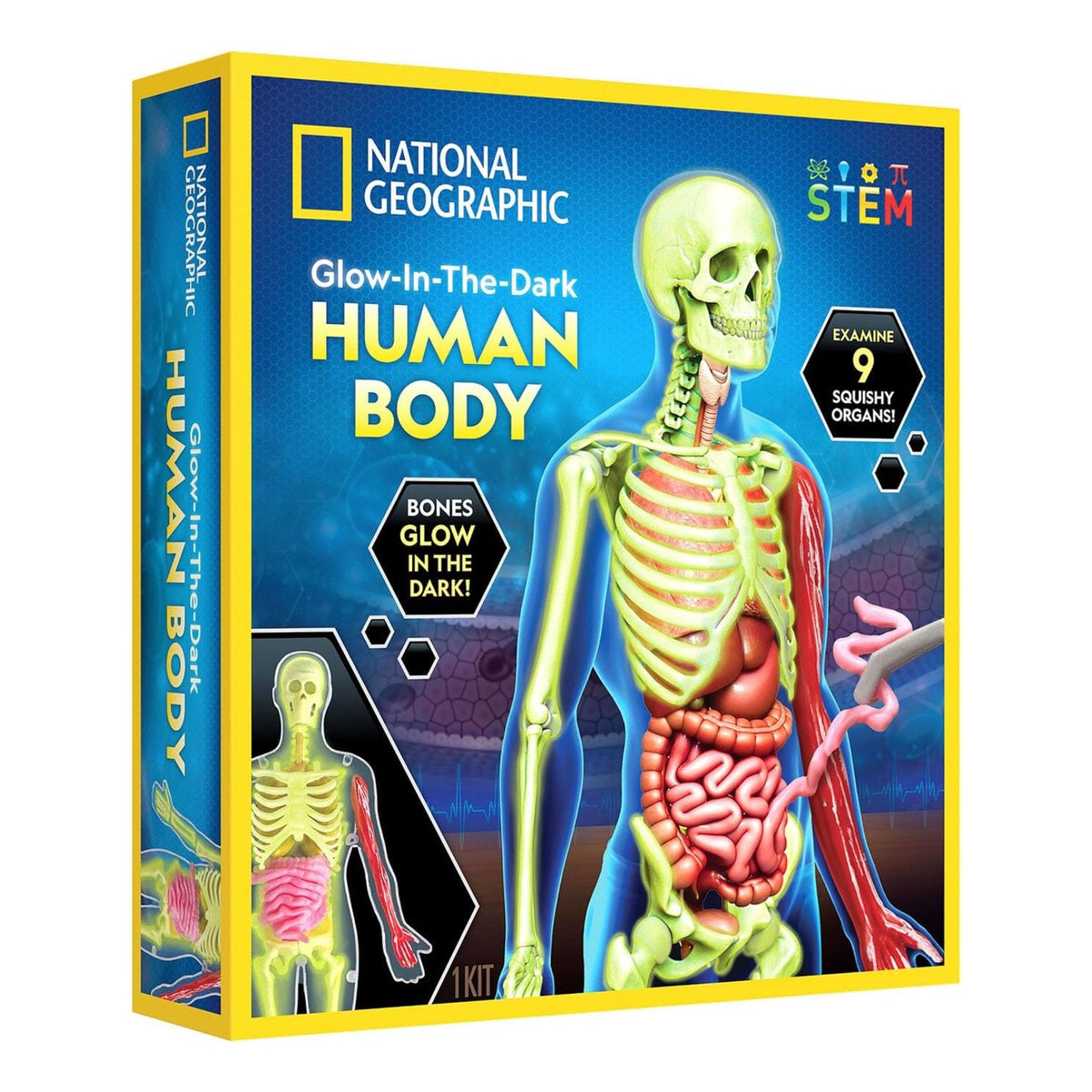 National Geographic Human Body Science Kit - Pupsik Singapore