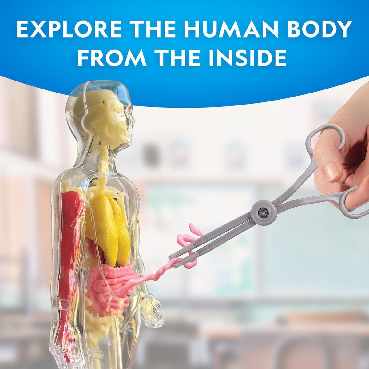 National Geographic Human Body Science Kit - Pupsik Singapore