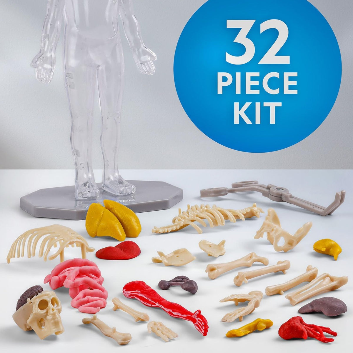 National Geographic Human Body Science Kit - Pupsik Singapore