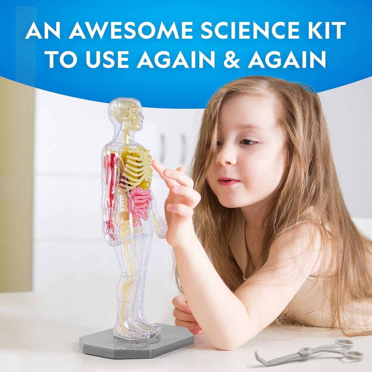 National Geographic Human Body Science Kit - Pupsik Singapore