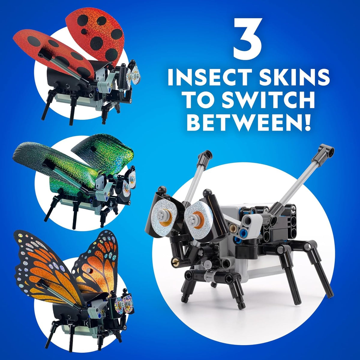 National Geographic Junior Robotics: Bugs - Pupsik Singapore