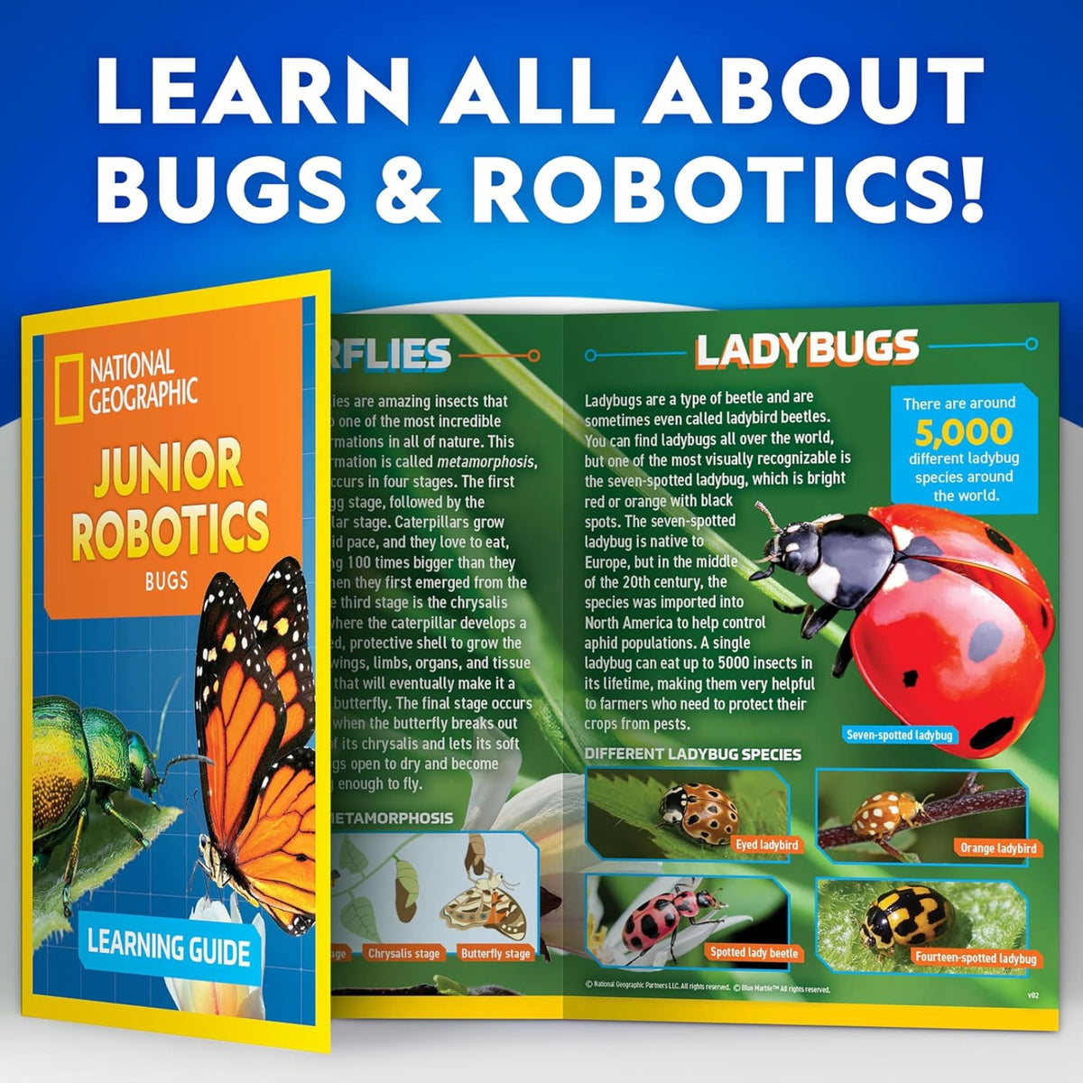 National Geographic Junior Robotics: Bugs - Pupsik Singapore