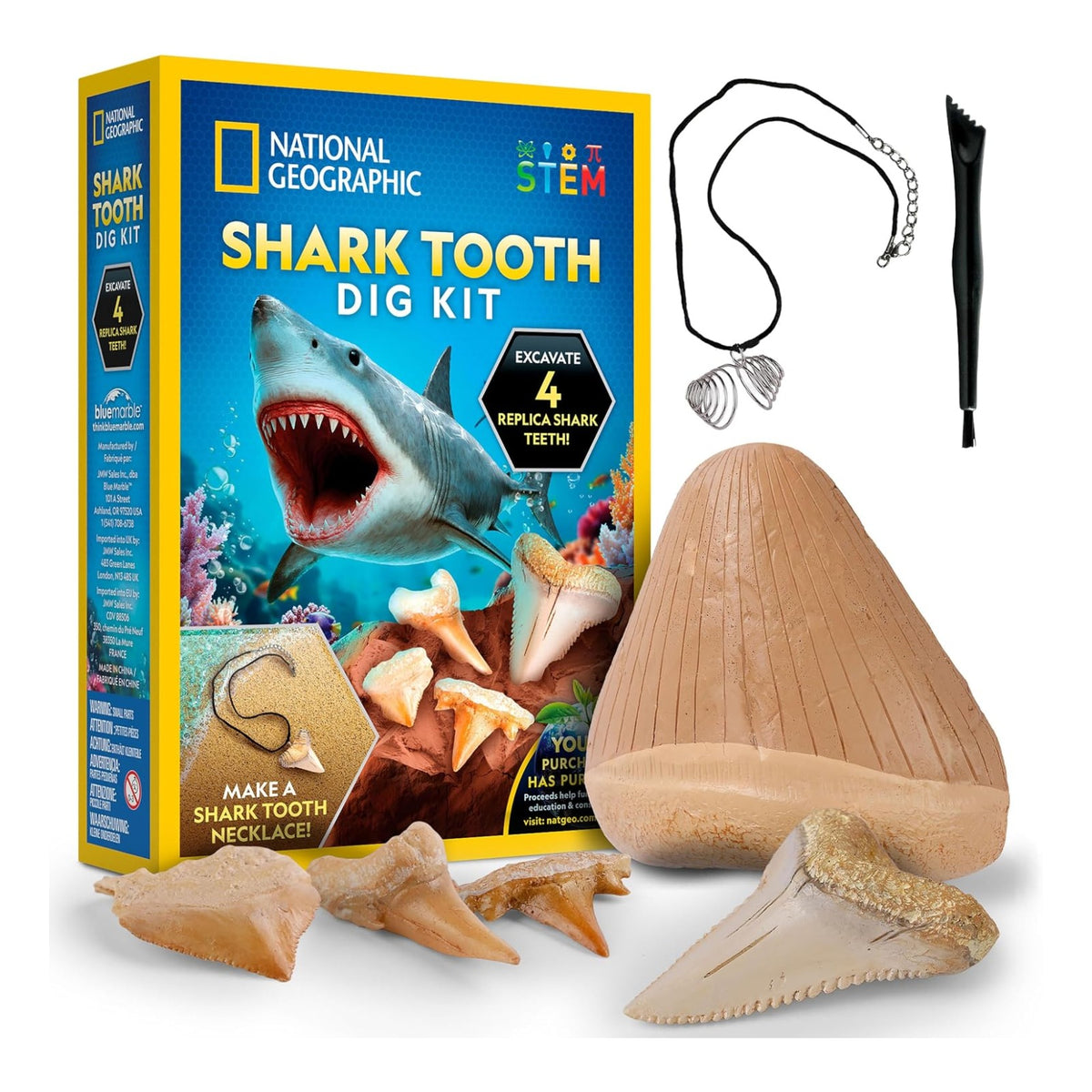 National Geographic Great White Shark Tooth Dig Kit - Pupsik Singapore