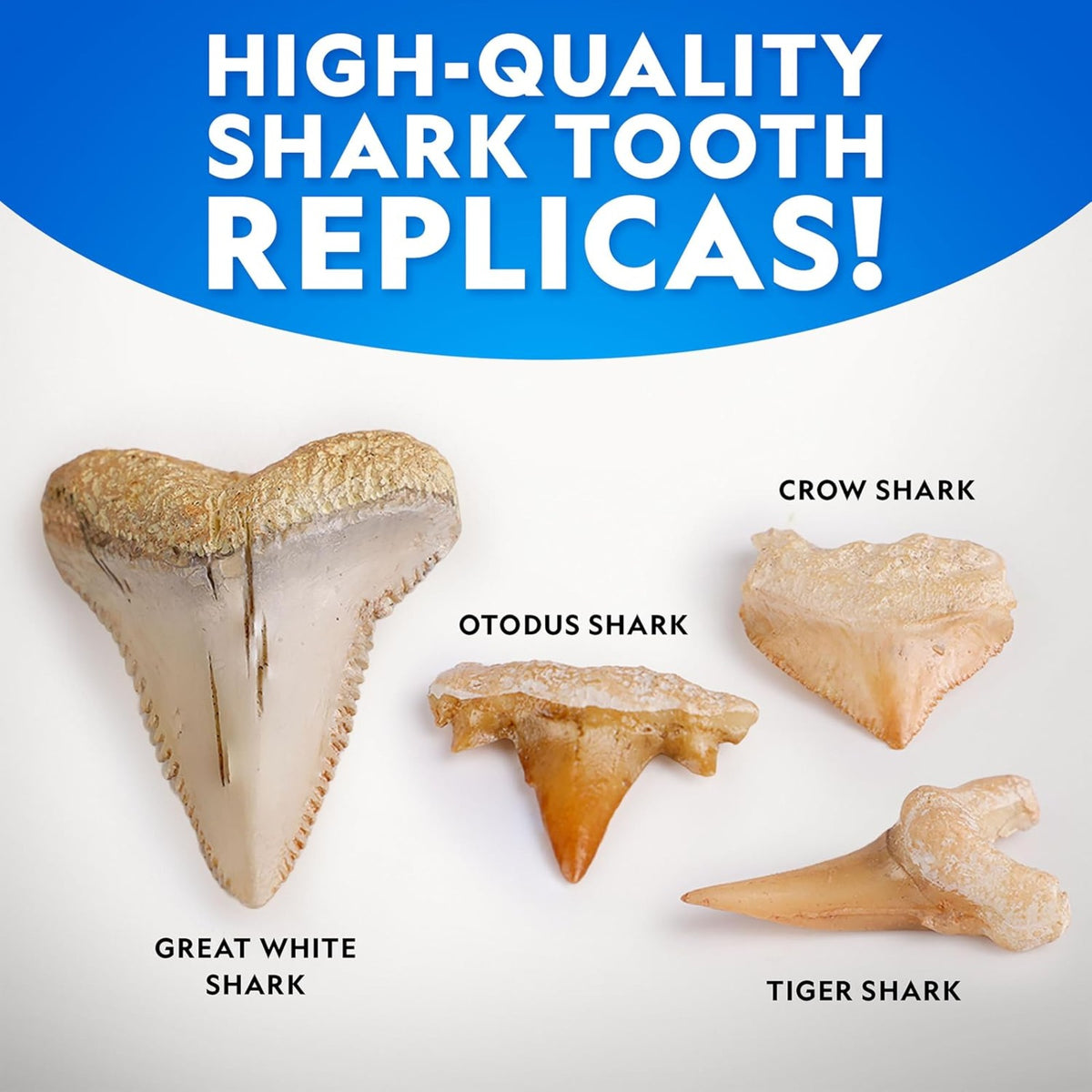 National Geographic Great White Shark Tooth Dig Kit - Pupsik Singapore