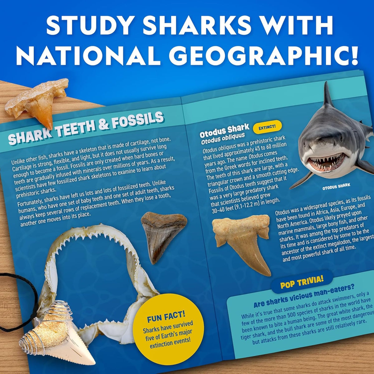 National Geographic Great White Shark Tooth Dig Kit - Pupsik Singapore