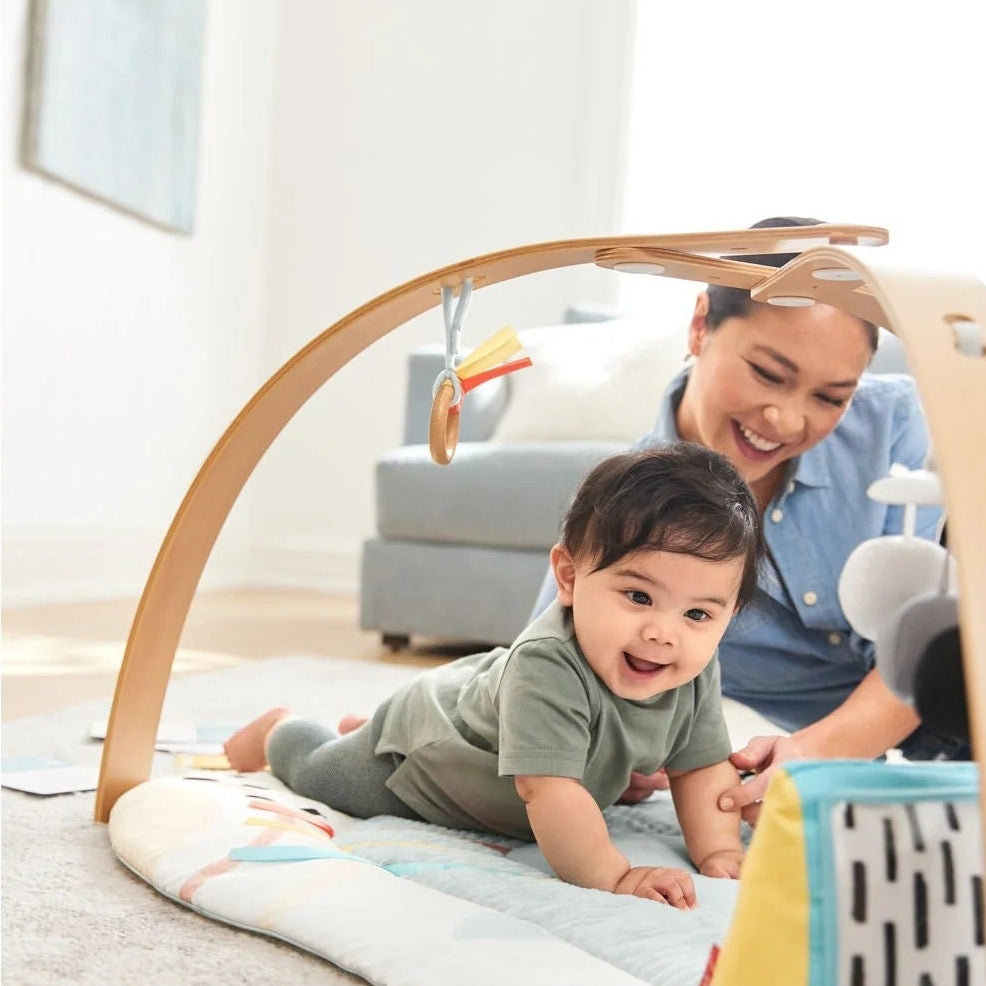 Skip Hop Discoverosity Deluxe Activity Gym