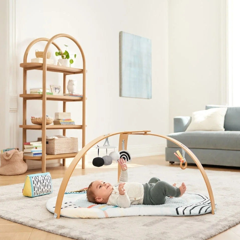 Skip Hop Discoverosity Deluxe Activity Gym