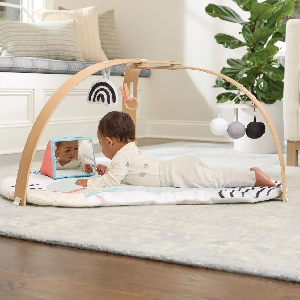 Skip Hop Discoverosity Deluxe Activity Gym