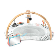 Skip Hop Discoverosity Deluxe Activity Gym
