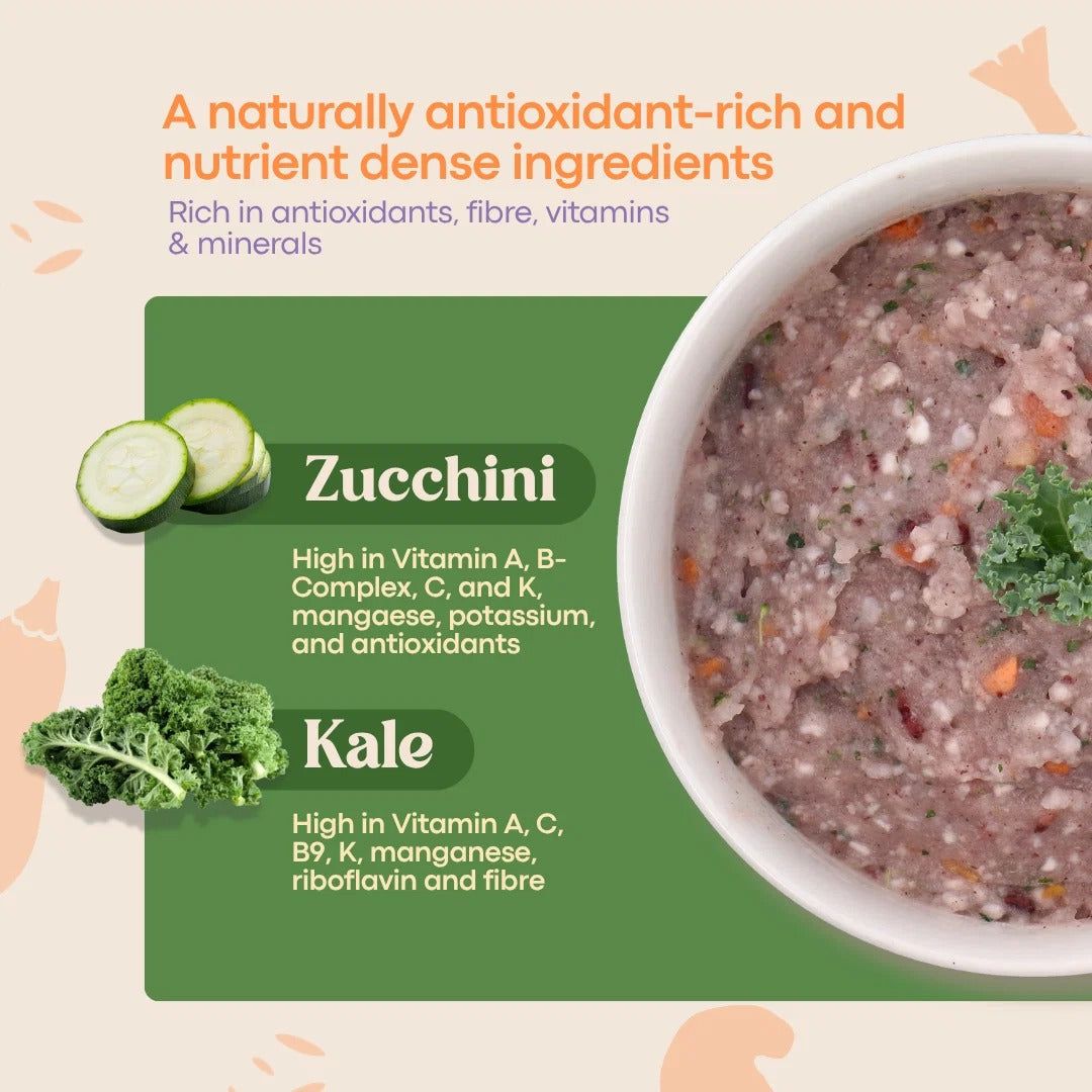 AVIA Berry Quick Porridge, 2pks/box - Zucchini & Kale (Exp 07/28) | SG Homemade