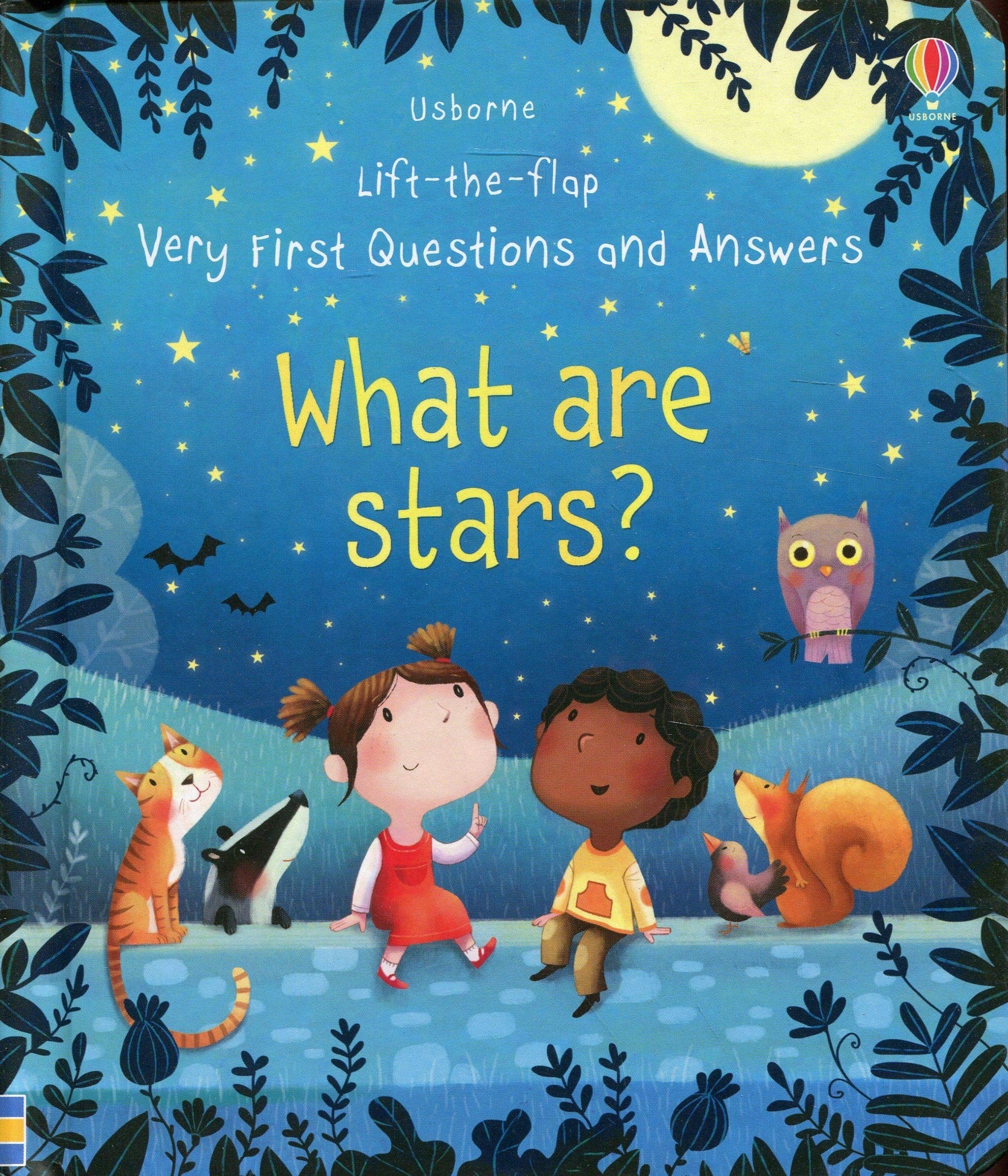 Usborne Lift-The-Flap Very First Questions And Answers Book (10 Titles) - Pupsik Singapore