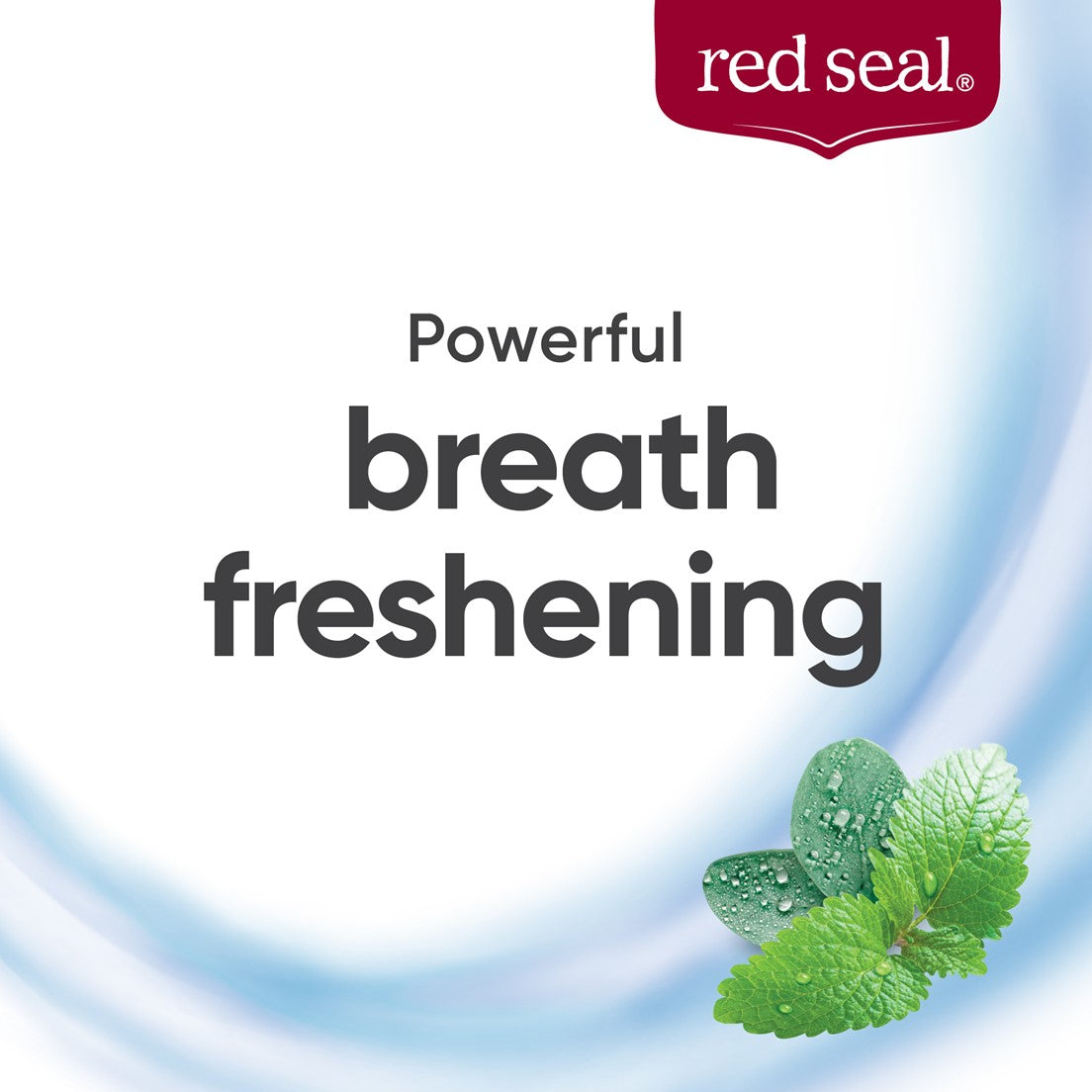 Red Seal Smokers Natural Toothpaste, 100g (Exp 04/27)