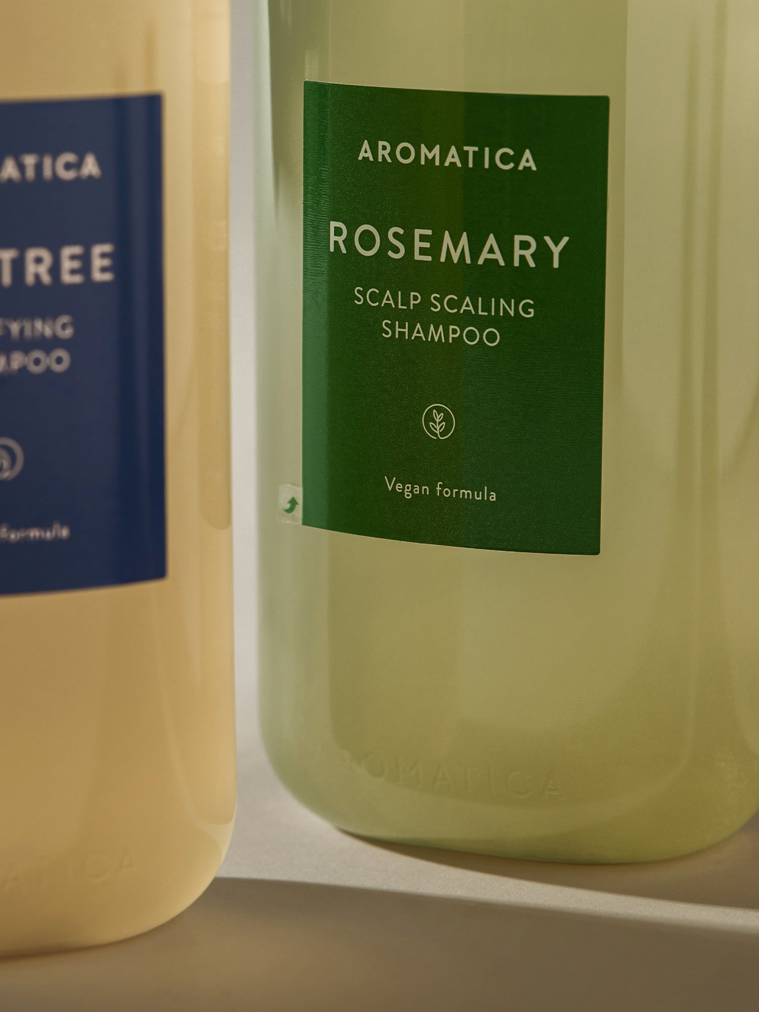 Aromatica Rosemary Scalp Scaling Shampoo (2 Sizes)
