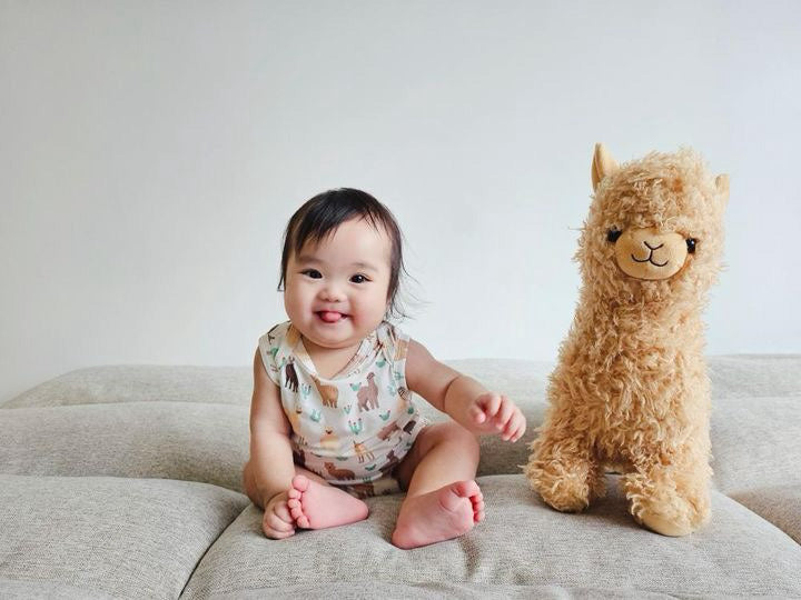 A, Apple Pie Bamboo Baby Sleeveless Tank Onesie - Llamas & Cacti (5 Sizes)