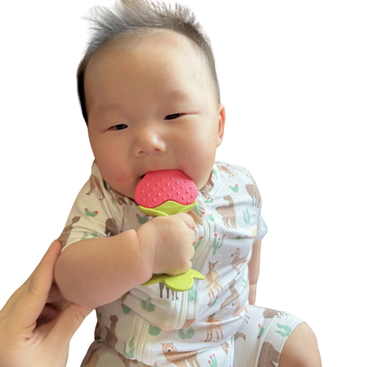 A, Apple Pie Bamboo Baby Zip Short Sleeve Romper - Llamas & Cacti (5 Sizes)