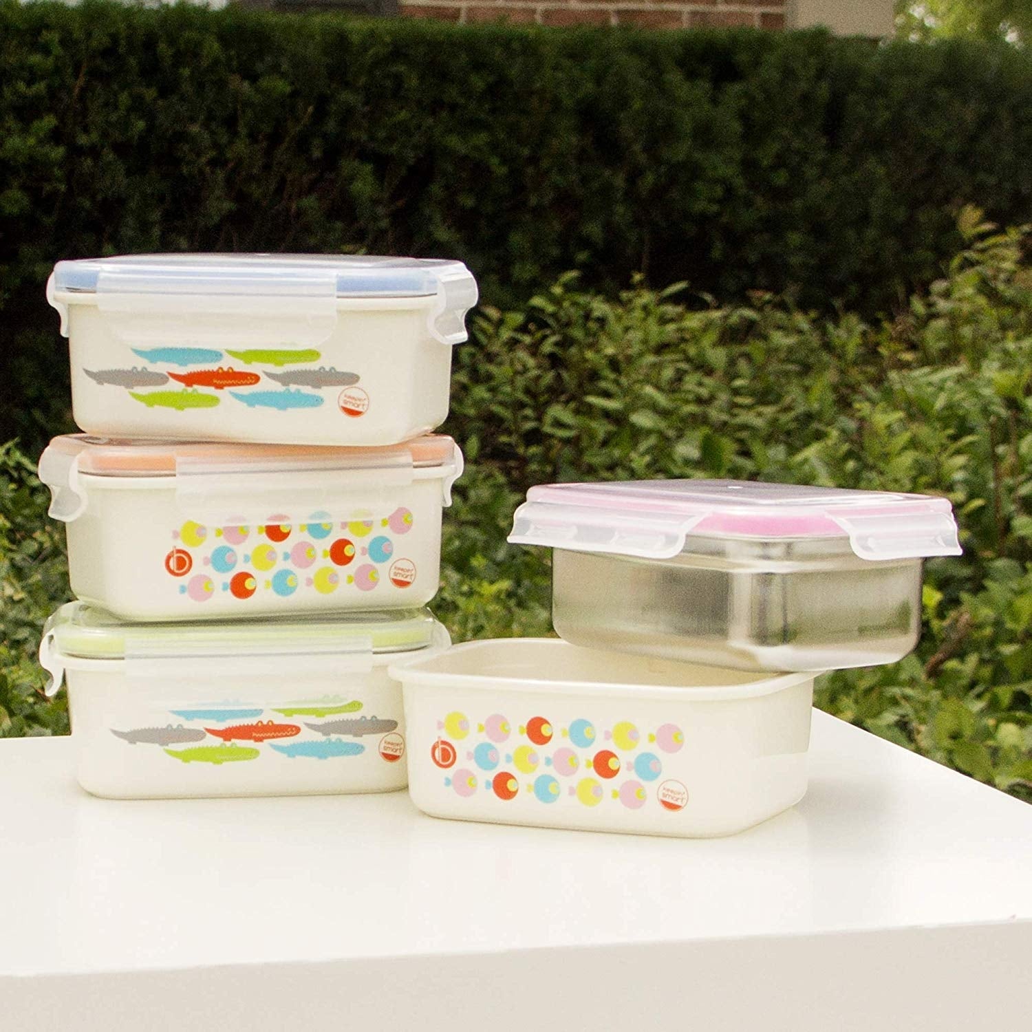 Innobaby Keepin' Fresh Stainless Steel Bento (15oz)  - 2 Colors - Pupsik Singapore