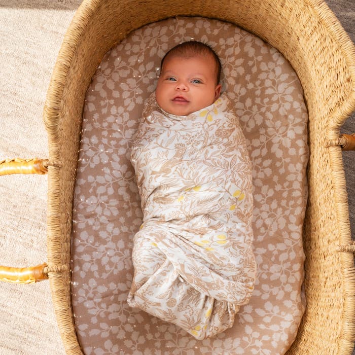 Aden Anais Silky Soft Bamboo Swaddle (47 x 47 in), 3pk (9 Designs) - Pupsik Singapore