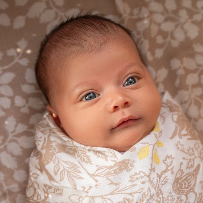 Aden Anais Silky Soft Bamboo Swaddle (47 x 47 in), 3pk (9 Designs) - Pupsik Singapore