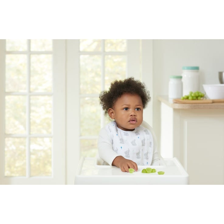 Aden Anais Essentials Snap Bib, 3pk (10 Designs) - Pupsik Singapore