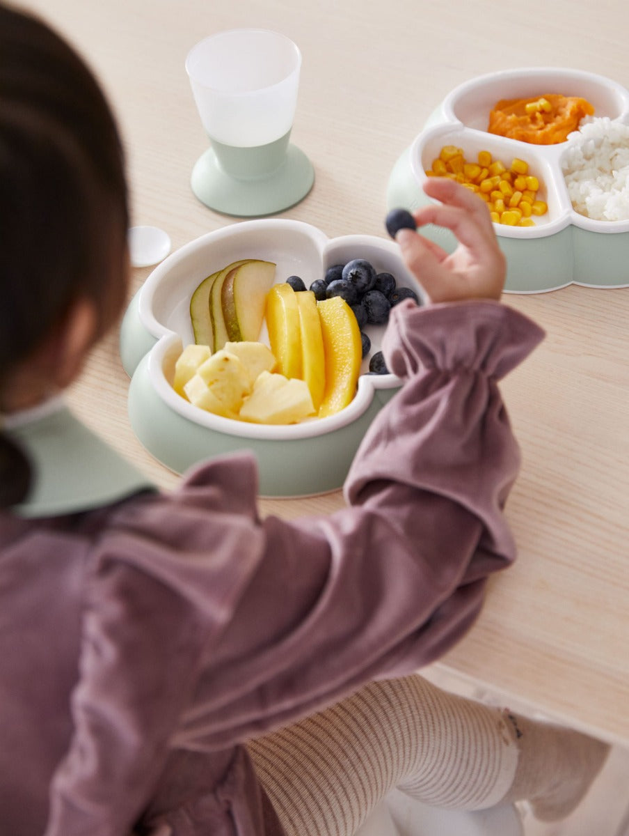 Baby Bjorn 2-piece Baby Plate Set (4 Colors) - Made in Sweden - Pupsik Singapore