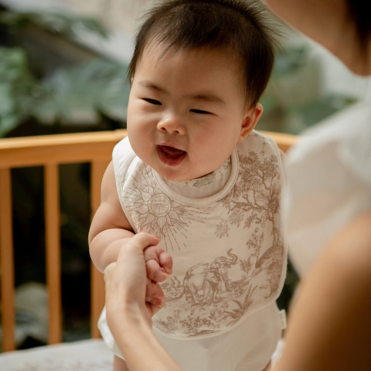 House of Holly Reversible Drool Bibs (17 Designs)