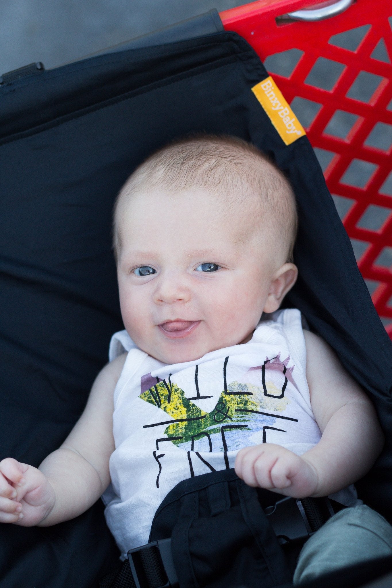 Binxy Baby Shopping Cart Hammock (5 Designs) - Pupsik Singapore