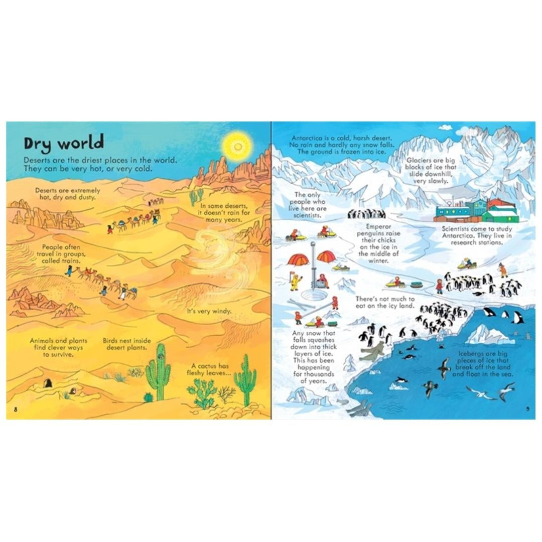 Usborne Lift-the-Flap Look Inside Book (10 Types) - Pupsik Singapore