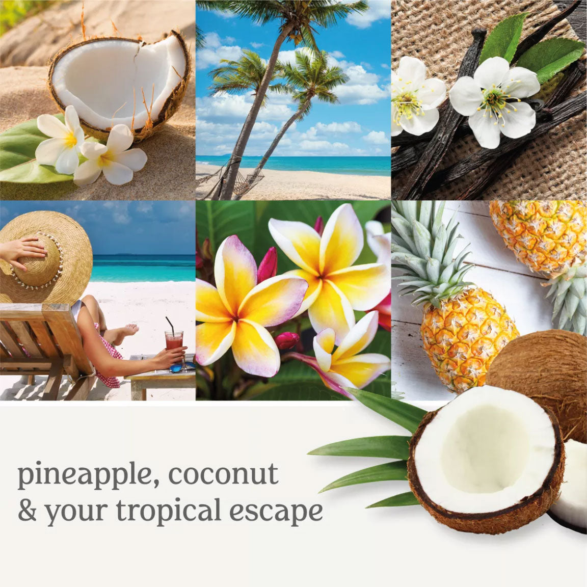 Yankee Candle Signature Medium Jar Candle, 2-wicks (13oz) - Coconut Beach