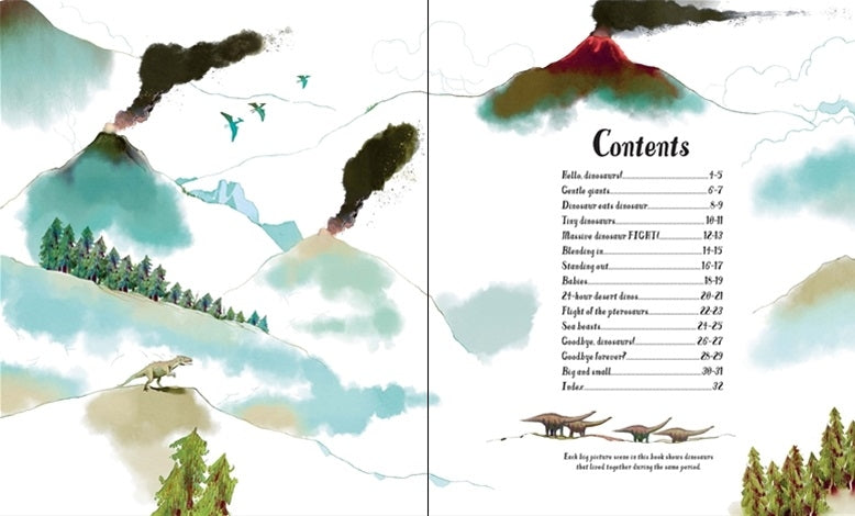 Usborne Big Picture Book - Dinosaurs
