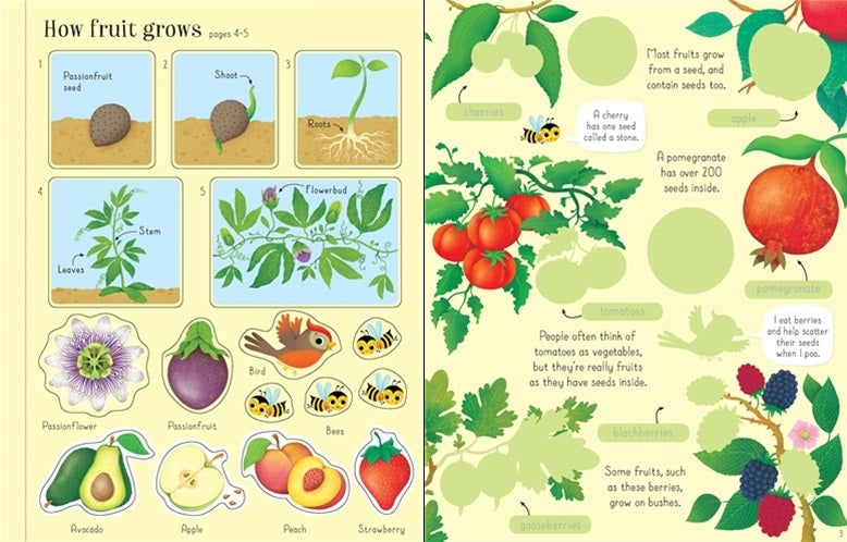 Usborne First Sticker Book (9 Titles) - Pupsik Singapore