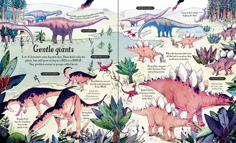 Usborne Big Picture Book - Dinosaurs