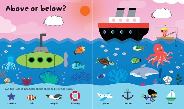 Usborne Lift-the-Flap Board Book Series - Age: 3+ (5 Titles) - Pupsik Singapore