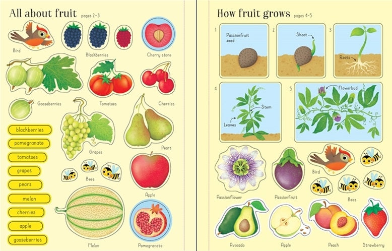 Usborne First Sticker Book (9 Titles) - Pupsik Singapore